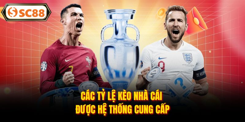 Các tỷ lệ kèo nhà cái được hệ thống cung cấp